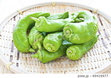 ざるに載ったピーマン 69429977