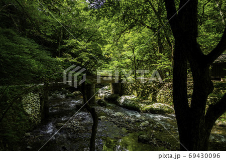帝釈峡　探勝歩道　広島県庄原市 69430096