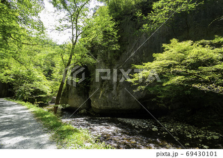 帝釈峡 探勝歩道 広島県庄原市 帝釈峡 探勝歩道 広島県庄原市 69430101