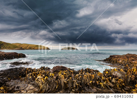 New Zealand coast New Zealand coast 69431092