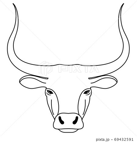 Head of bull. Contour simple longhorned Buffalo or bison, symbol of new new year 2021. Black and white concept. Head of bull. Contour simple longhorned Buffalo or bison, symbol of new new year 2021. Black and white concept. 69432591