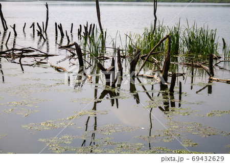 反射 池 反影 69432629