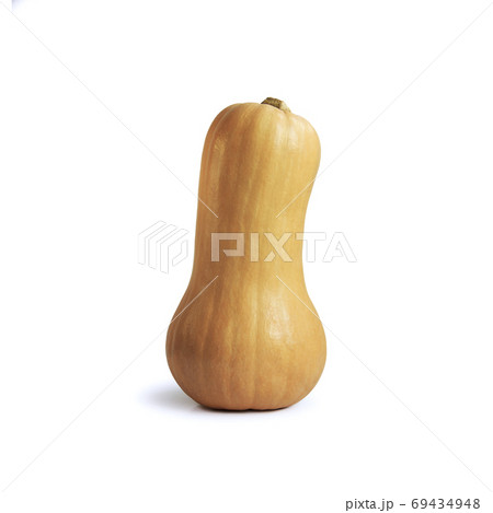 Butternut squash. Cucurbita moschata. One little beautiful orange pumpkin 69434948