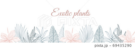 Tropical flowers border pattern in sketch style on white background. Background with hibiscus, protea, magnolia, palm leaves. 69435290