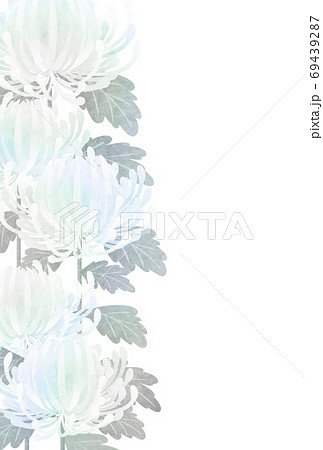 水彩風左半分菊の喪中はがきタテベクター配置調整可のイラスト素材