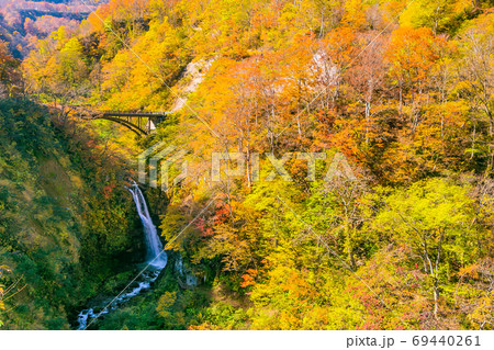紅葉と不動滝 紅葉と不動滝 69440261