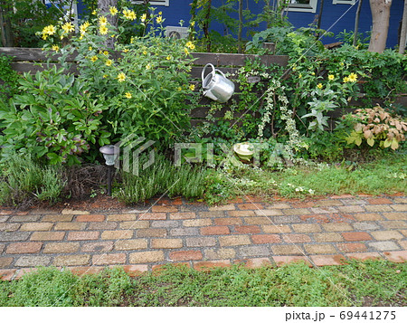 アイビーが絡まり緑の濃淡が綺麗な庭の写真素材