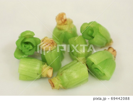 捨てちゃう野菜クズ　小松菜の茎 69442088