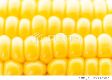 生のトウモロコシ 69442567