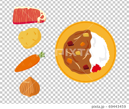 カレーライスのベクターイラスト  69443459