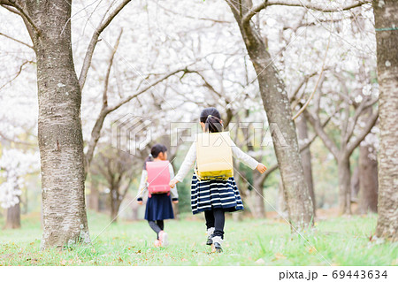 桜の木の下で遊ぶ女の子 69443634