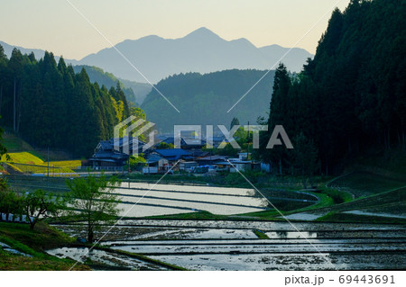 額井岳と棚田（奈良県宇陀市） 69443691