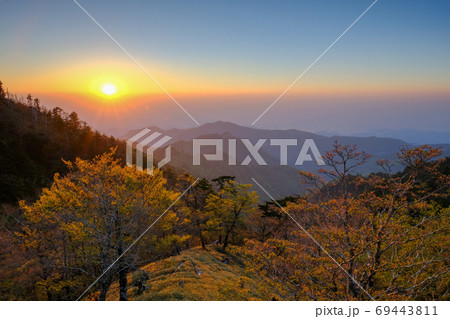 夜明けの大台ケ原(奈良県吉野郡上北山村) 夜明けの大台ケ原(奈良県吉野郡上北山村) 69443811