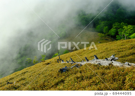 大台ヶ原の夜明け（奈良県吉野郡上北山村） 69444095