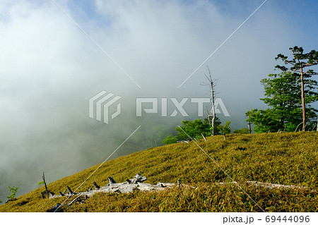 大台ヶ原の夜明け(奈良県吉野郡上北山村) 大台ヶ原の夜明け(奈良県吉野郡上北山村) 69444096