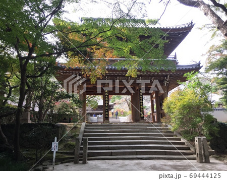 緑と紅葉の後ろにある階段の上の山門 69444125