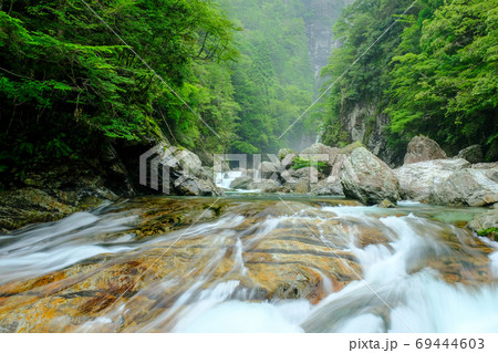 雨の前鬼川（奈良県吉野郡下北山村） 69444603