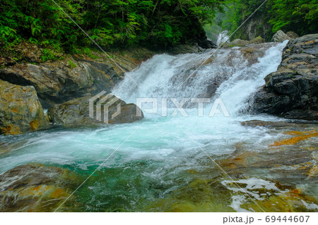 雨の前鬼川（奈良県吉野郡下北山村） 69444607