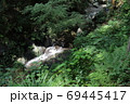 東京　檜原村　観光地 69445417