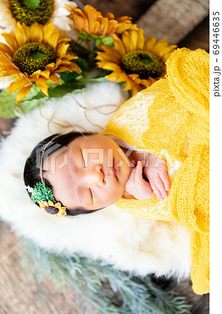 ニューボーンフォト ニューボーンフォト 69446635