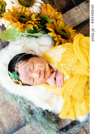 ニューボーンフォト ニューボーンフォト 69446640