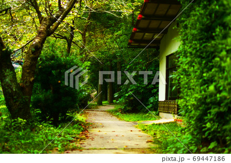 物静かな山道 物静かな山道 69447186