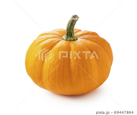 パンプキン 69447864
