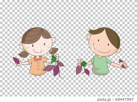 子供たちの芋掘りのイラスト素材