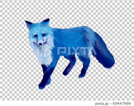 手描きの狐のイラストのイラスト素材 [69447999] - PIXTA