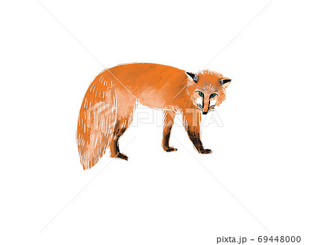 手描きの狐のイラストのイラスト素材