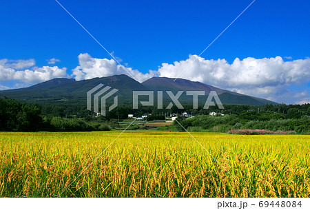 活火山・浅間山と秋の田んぼ 活火山・浅間山と秋の田んぼ 69448084