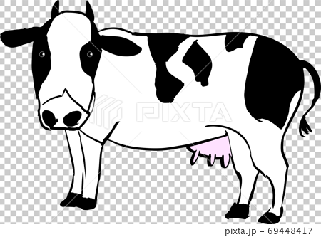 手書きのラフな牧場の牛のイラストのイラスト素材