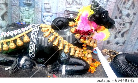 A sculpture of the scared Nandi A sculpture of the scared Nandi 69449345