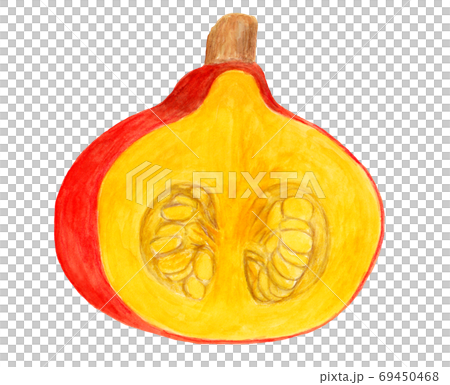 加賀野菜のカボチャの断面(水彩画) 69450468