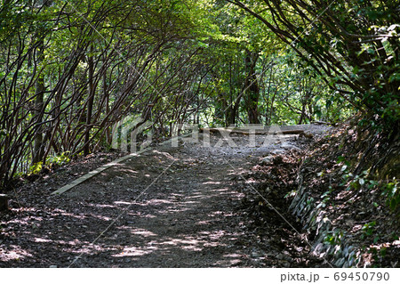 山道の風景写真 69450790