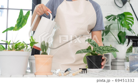 Attractive Young Asian woman taking care Water the household pla Attractive Young Asian woman taking care Water the household pla 69451332