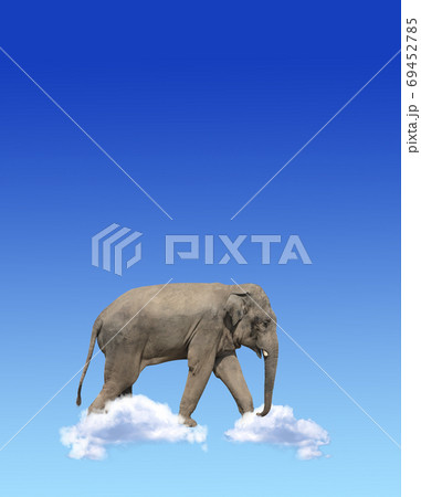 Vertical banner with elephant above clouds 69452785