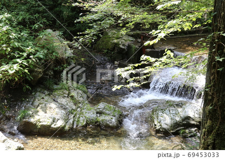 東京　檜原村　観光 69453033