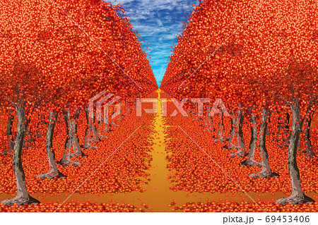 秋の紅葉もみじの木や紅葉狩りの並木道の鮮やかなイラストのイラスト素材