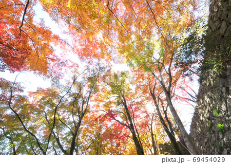 紅葉のグラデーションに寄り添う石垣 紅葉のグラデーションに寄り添う石垣 69454029