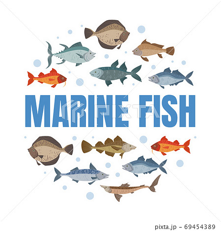 Marine Fish Banner Template with Fishes Pattern of Round Shape, Seafood Market, Shop, Menu, Packaging Design Flat Vector Illustration Marine Fish Banner Template with Fishes Pattern of Round Shape, Seafood Market, Shop, Menu, Packaging Design Flat Vector Illustration 69454389