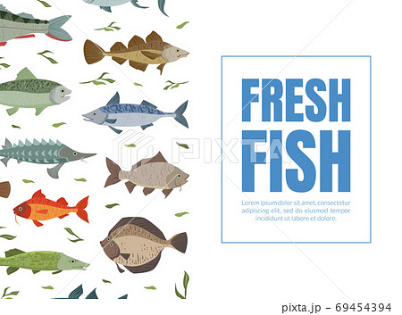 Fresh Fish Banner Template, Seafood Market, Menu, Packaging Design, River and Marine Fishes Seamless Pattern Flat Vector Illustration 69454394