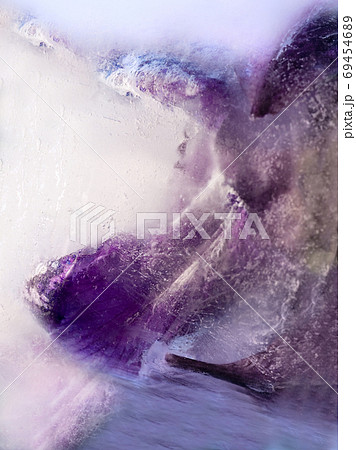 Frozen flower of iris Frozen flower of iris 69454689