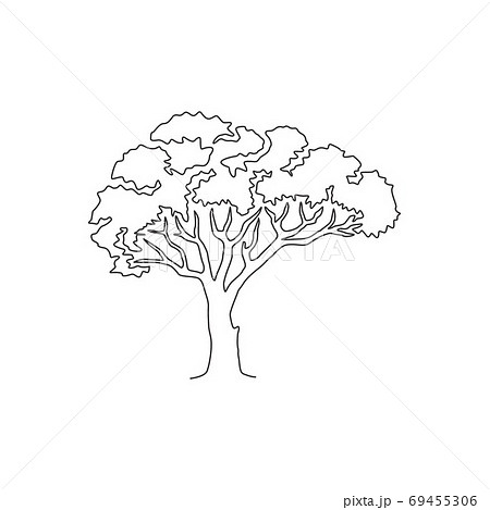 One continuous line drawing beauty marula tree for wall decor art poster print 69455306