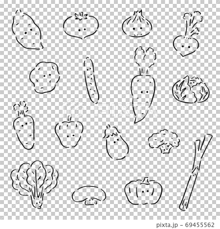 おやさいセット　白黒イラスト 69455562