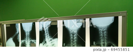 Hospital Hospital 69455851
