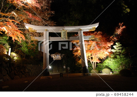 宝登山神社紅葉のライトアップ 69458244
