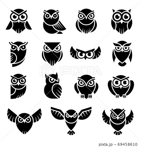 Bird Logo Wild Owl Knowledge Symbols Vector のイラスト素材