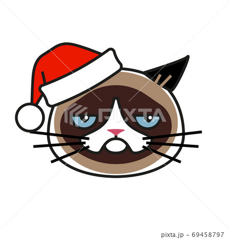 Grumpy cat in christmas hat isolated on white Grumpy cat in christmas hat isolated on white 69458797