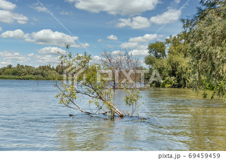 Danube river biosphere reserve summer landscape. 69459459